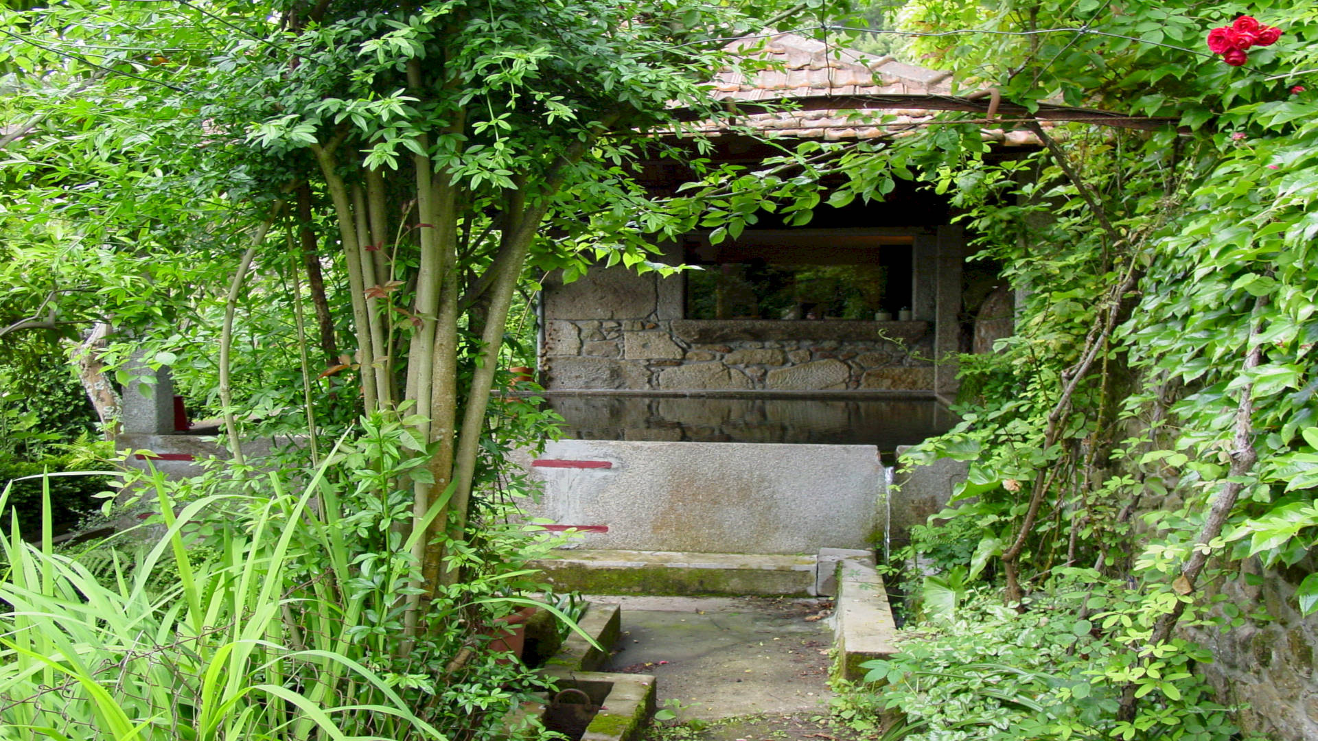 QUINTA DA PICARIA