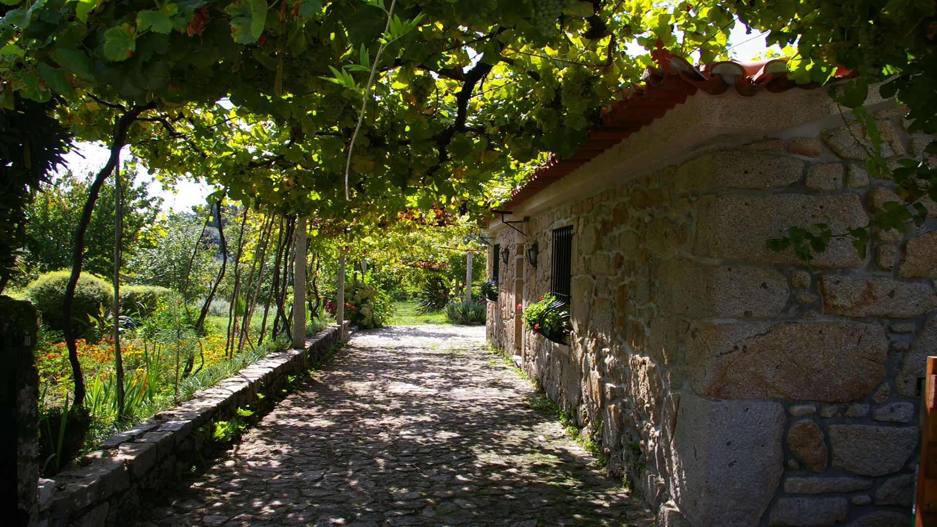 CASA DO TAMANQUEIRO