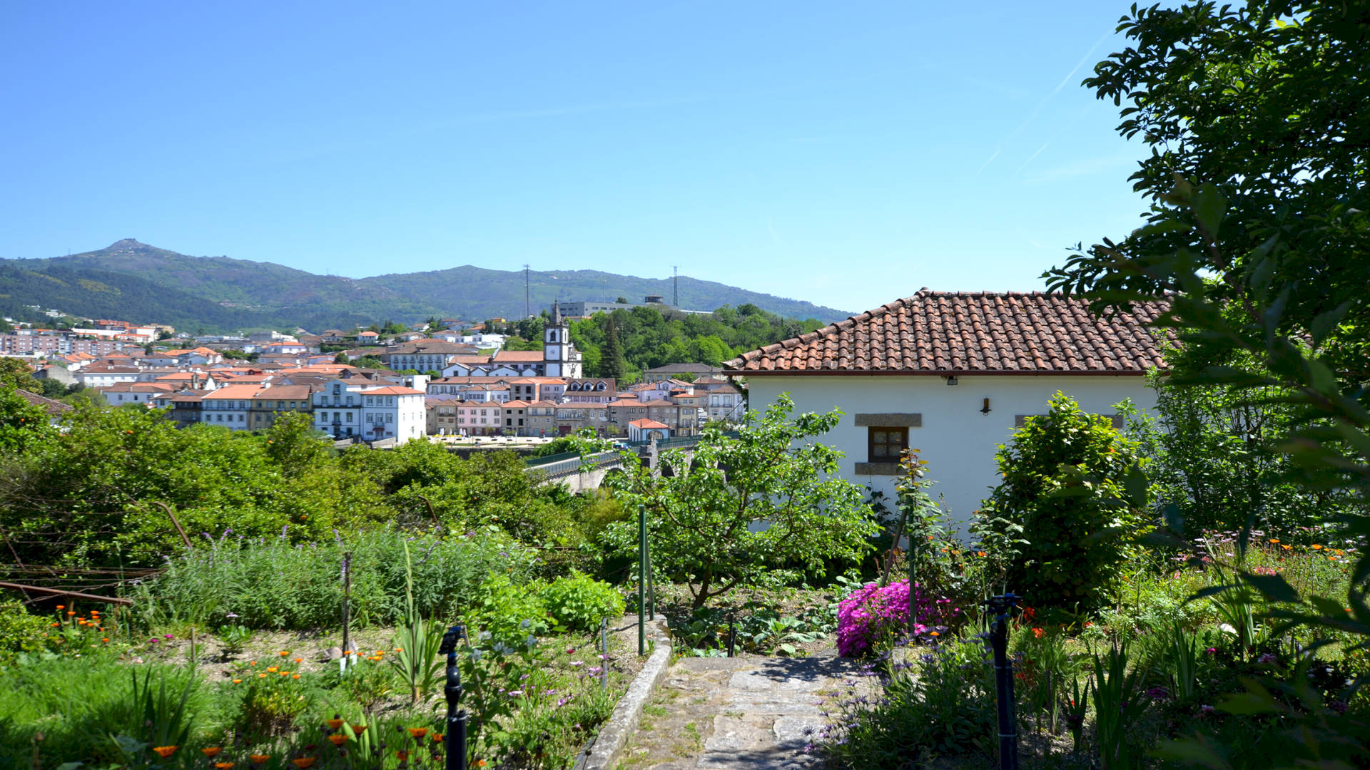 QUINTA DA PROVA