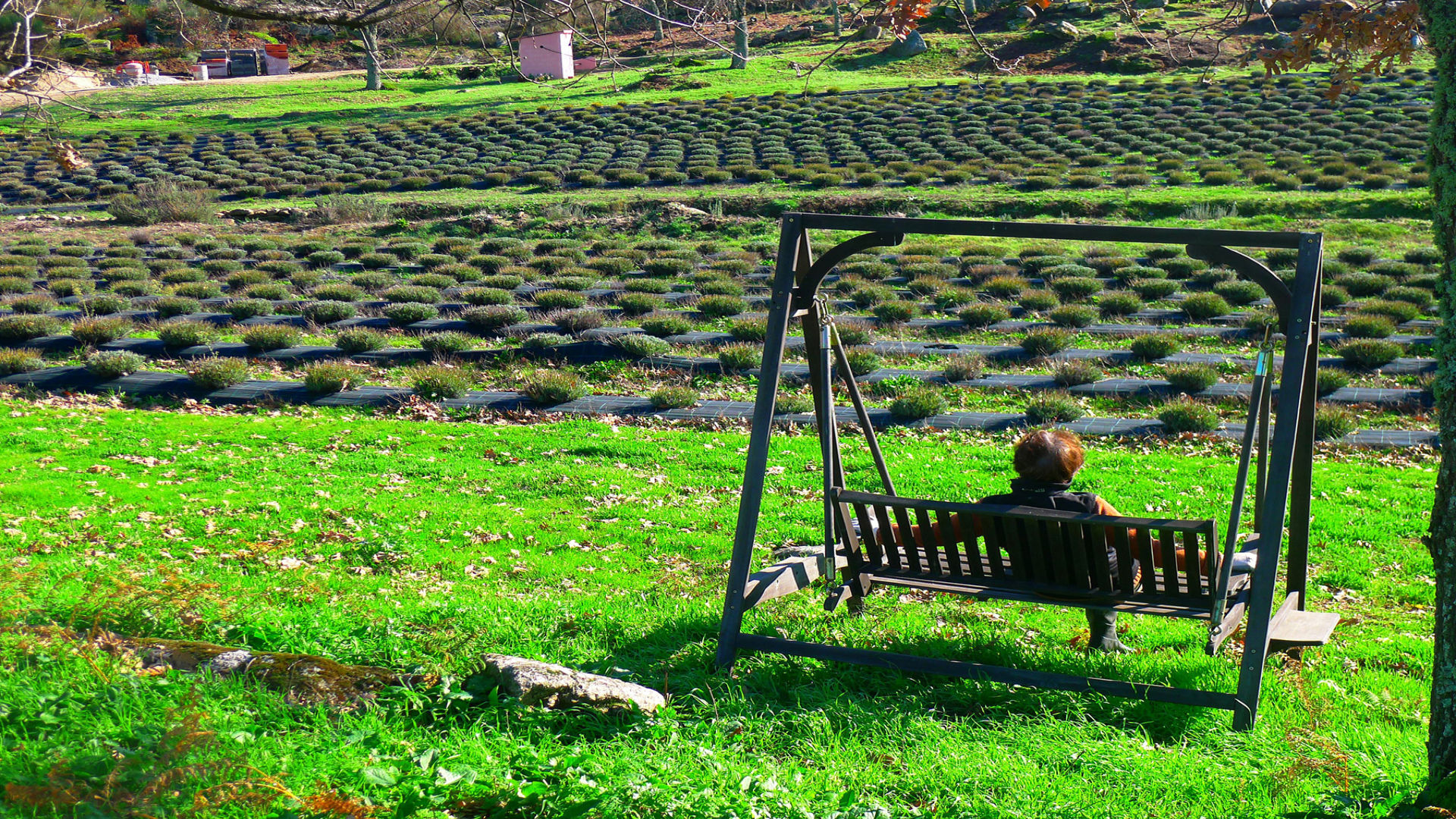 QUINTA DAS LAVANDAS