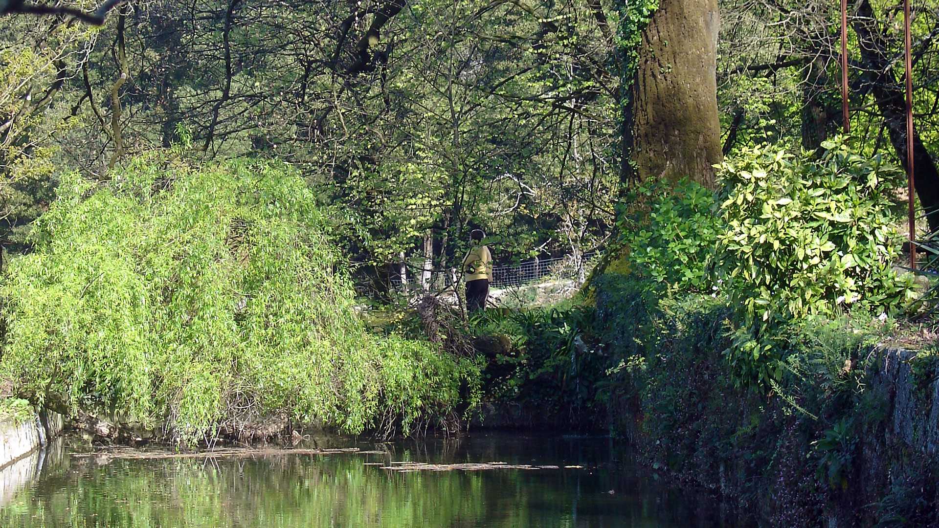 QUINTA DE PINDELA