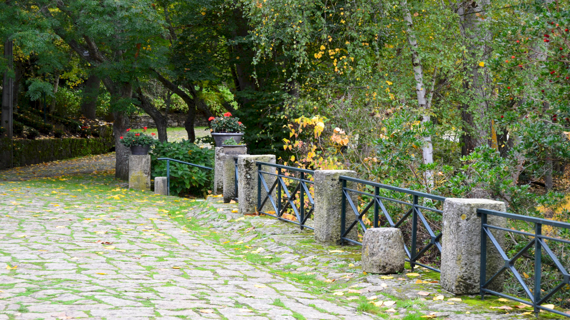 QUINTA DA MATA