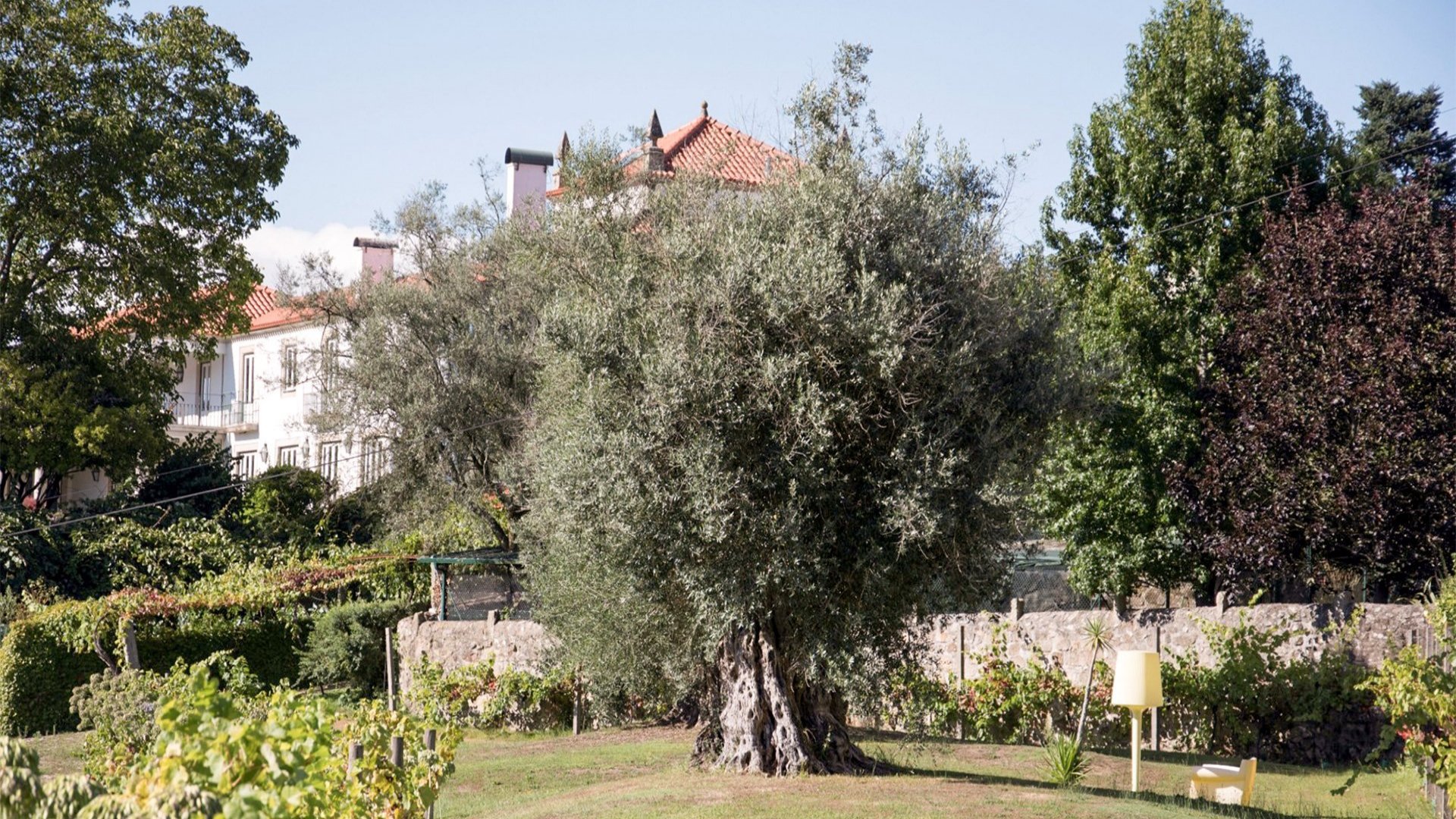 Casa dos Macieis