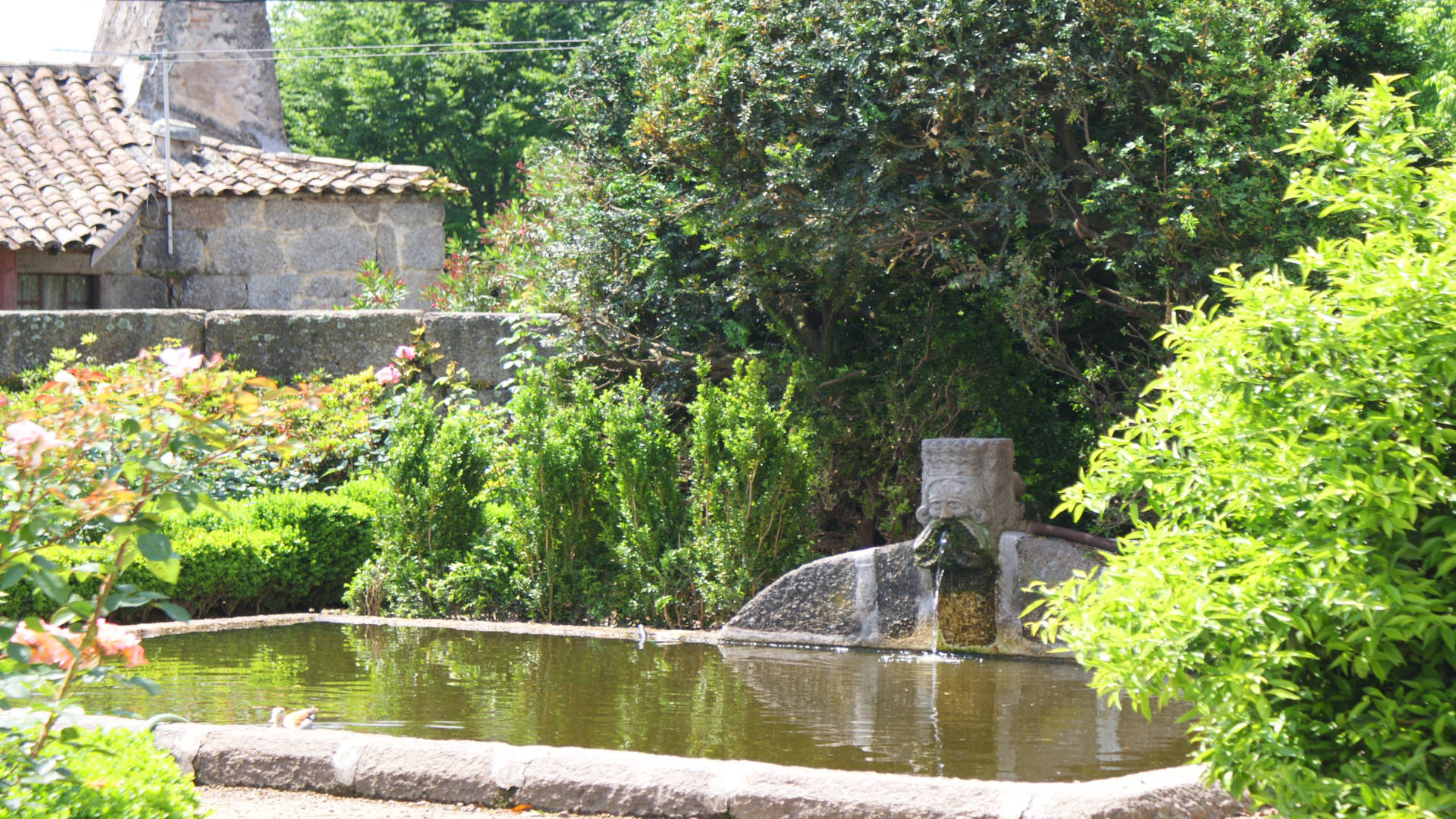 CASA DOS POMBAIS