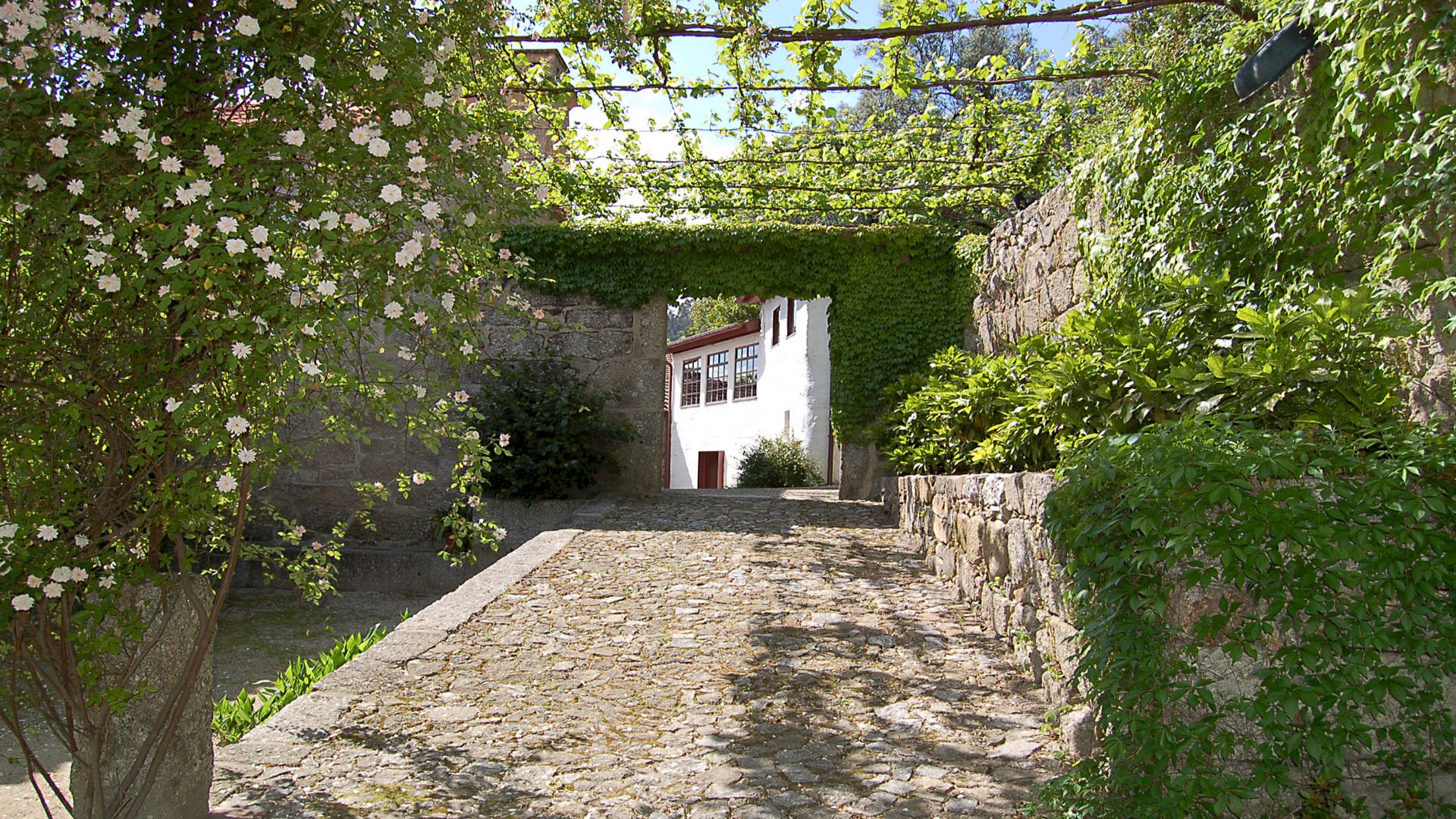 CASA DE ALFENA