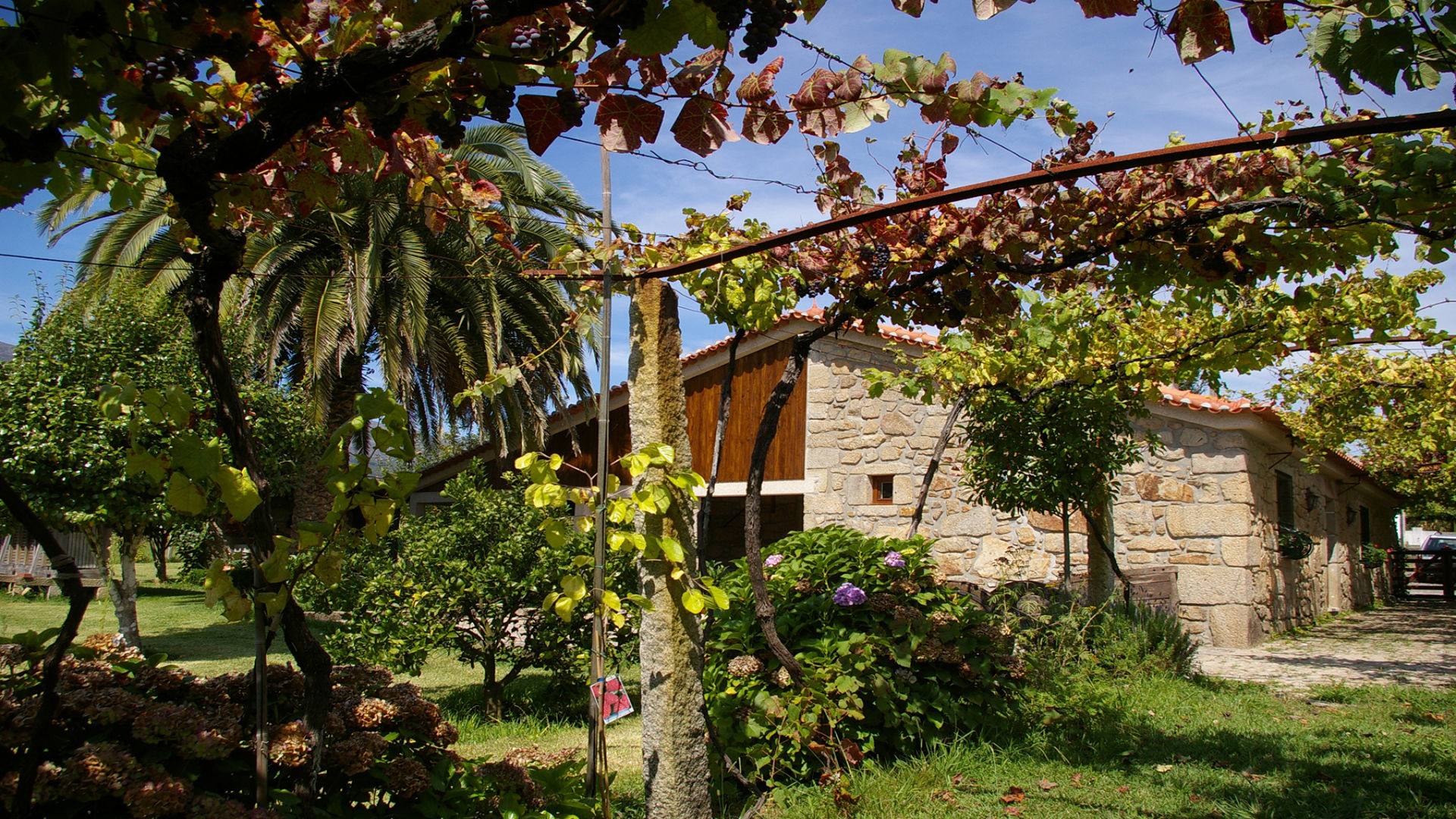 CASA DO TAMANQUEIRO