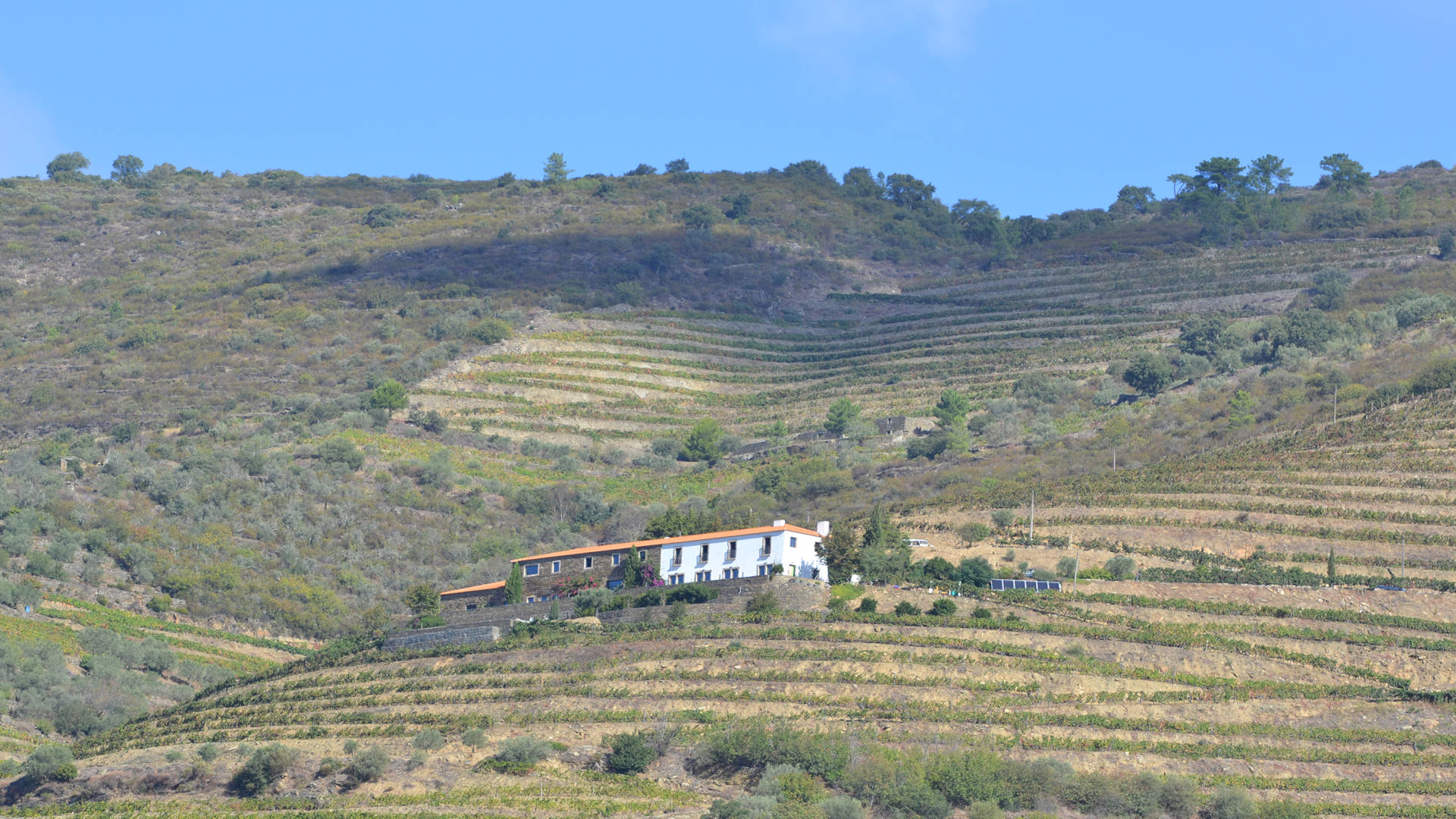 QUINTA DA VEIGA