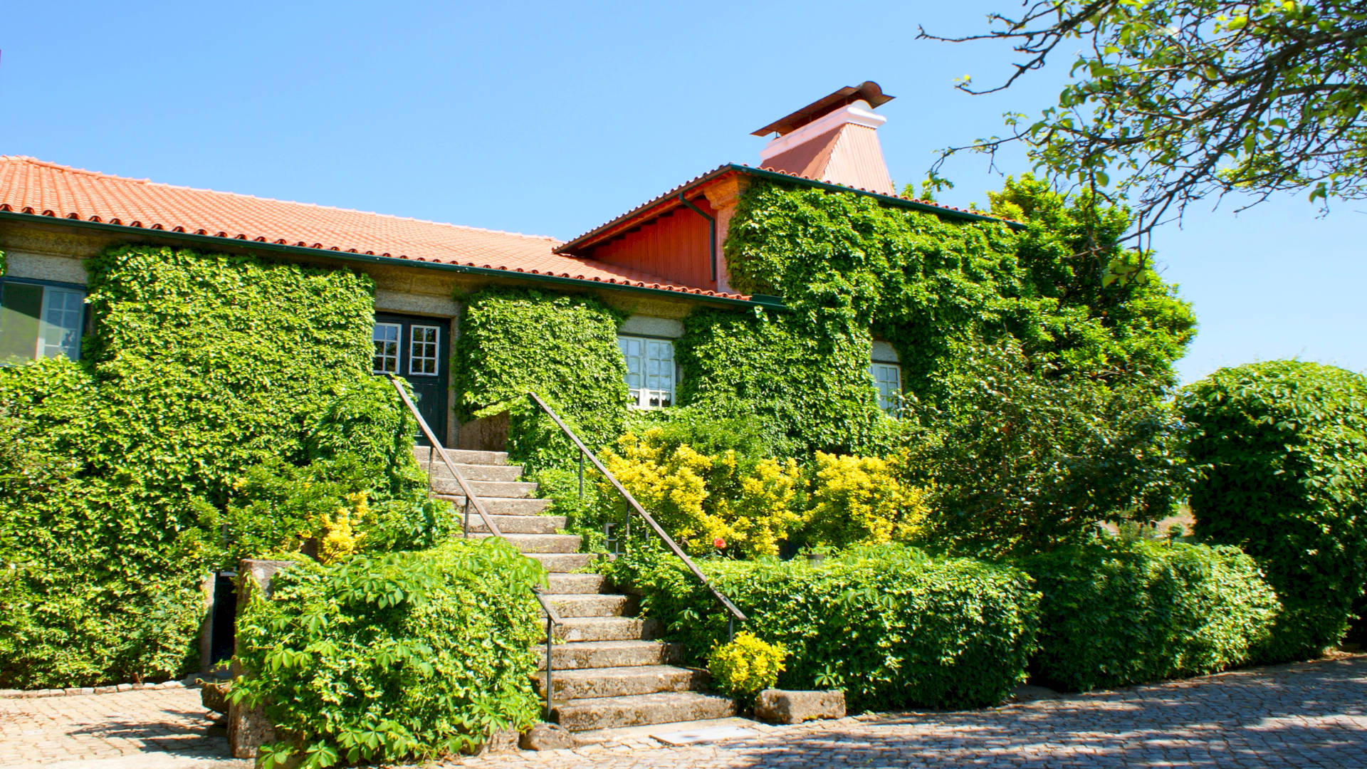 CASA DA TOJEIRA