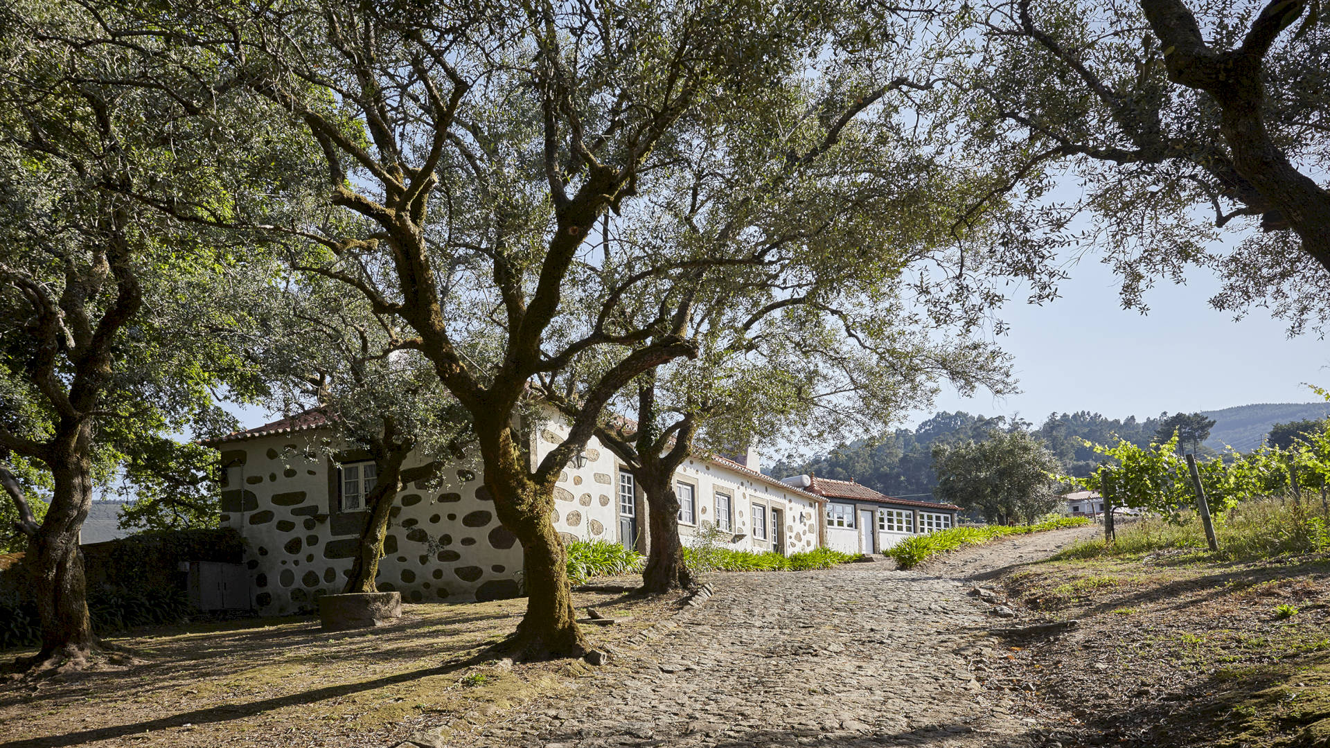 PAÇO DE CALHEIROS