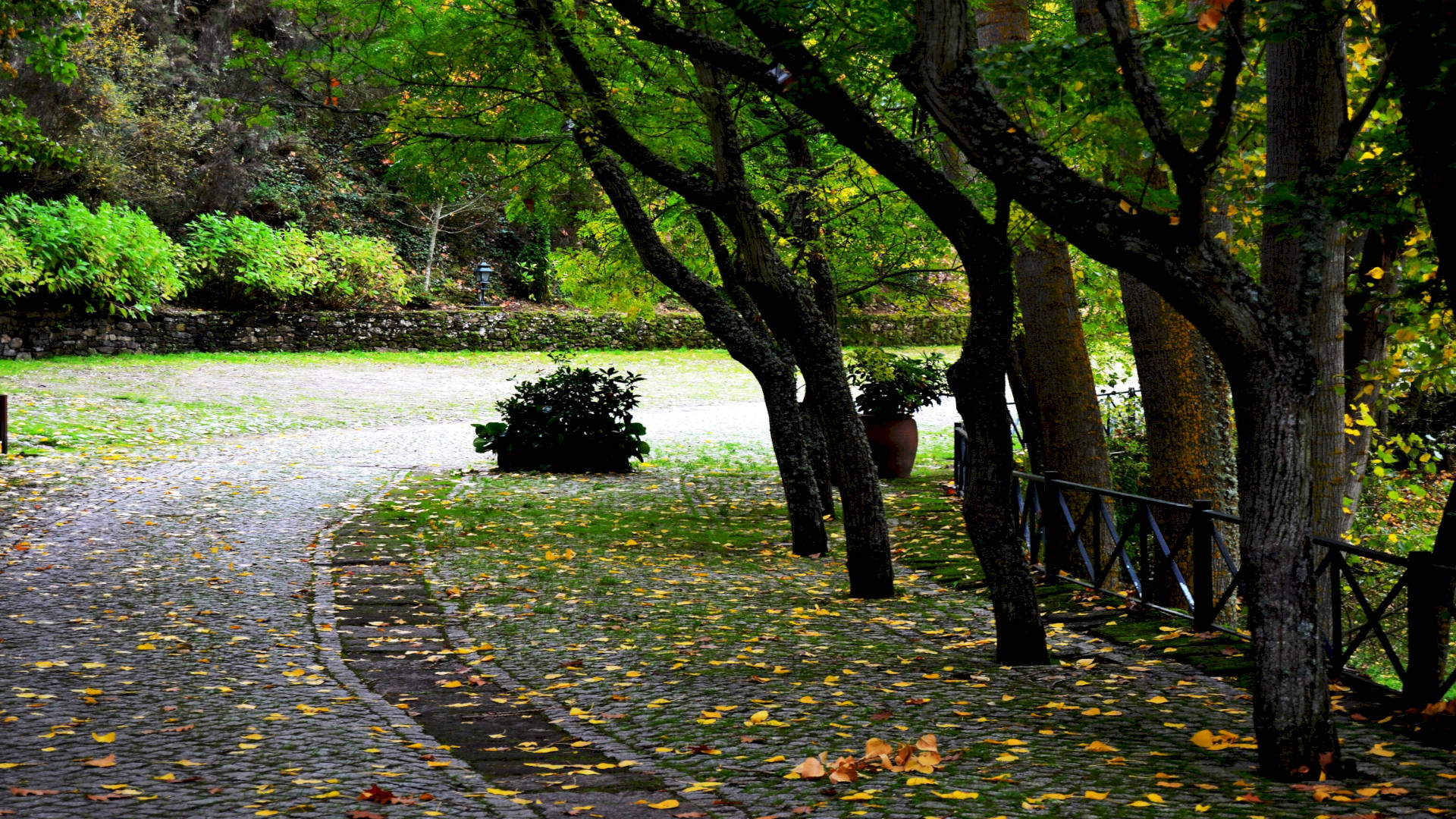 QUINTA DA MATA