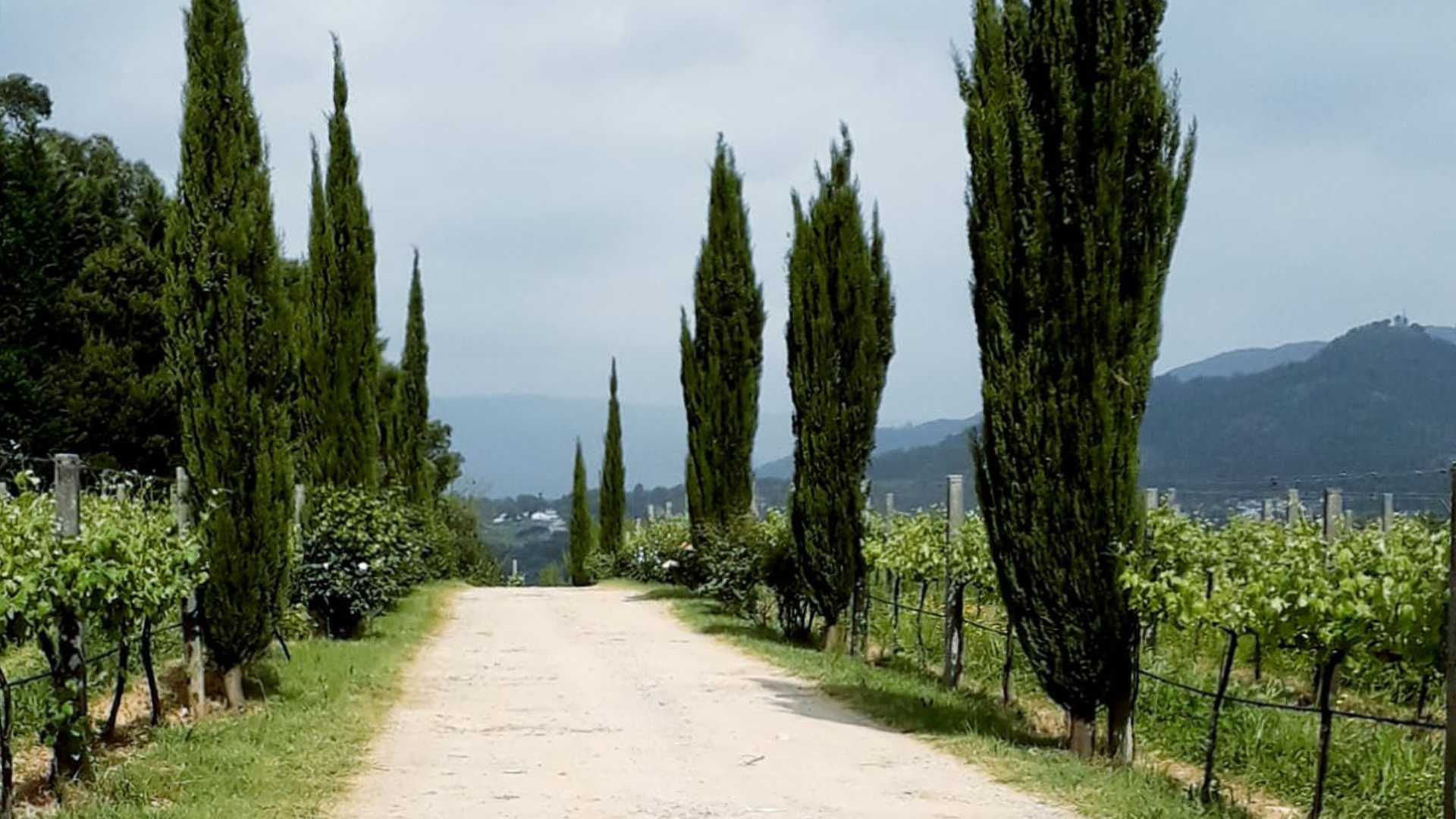 QUINTA DA ROSEIRA