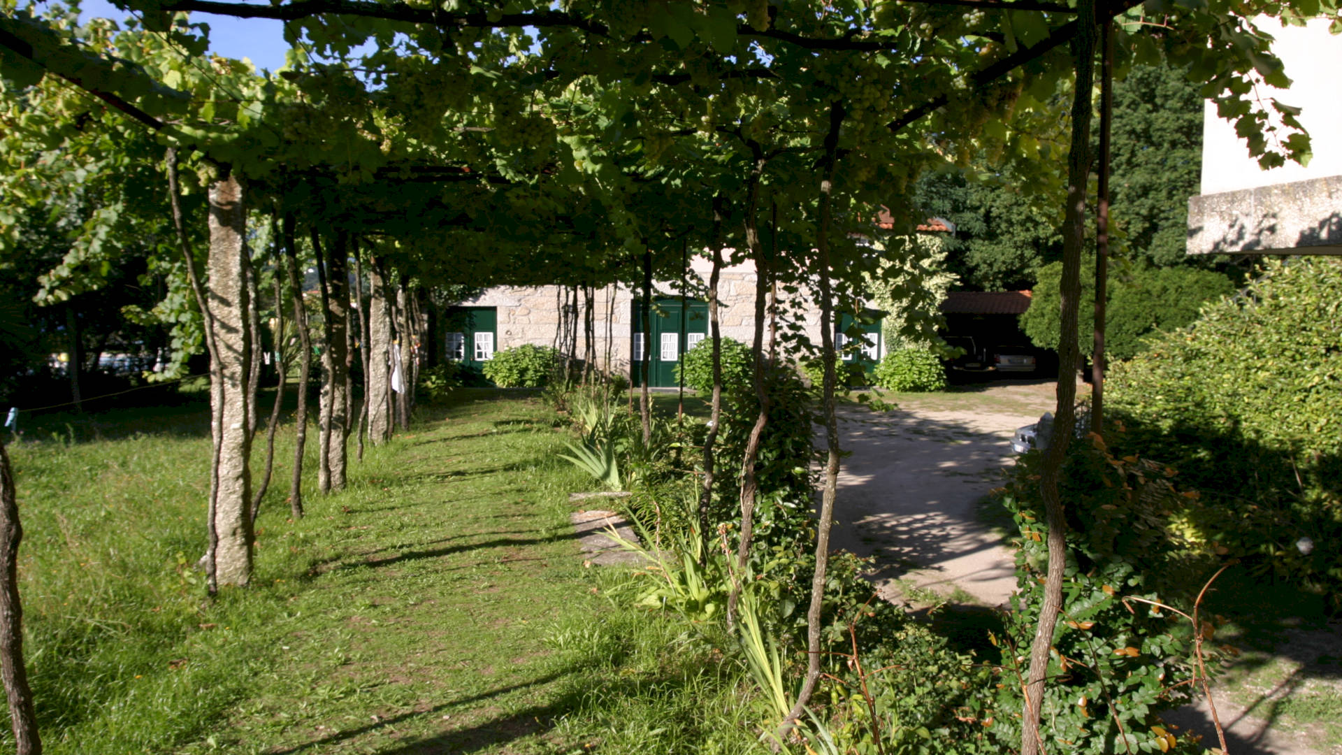 QUINTA DE CORTINHAS