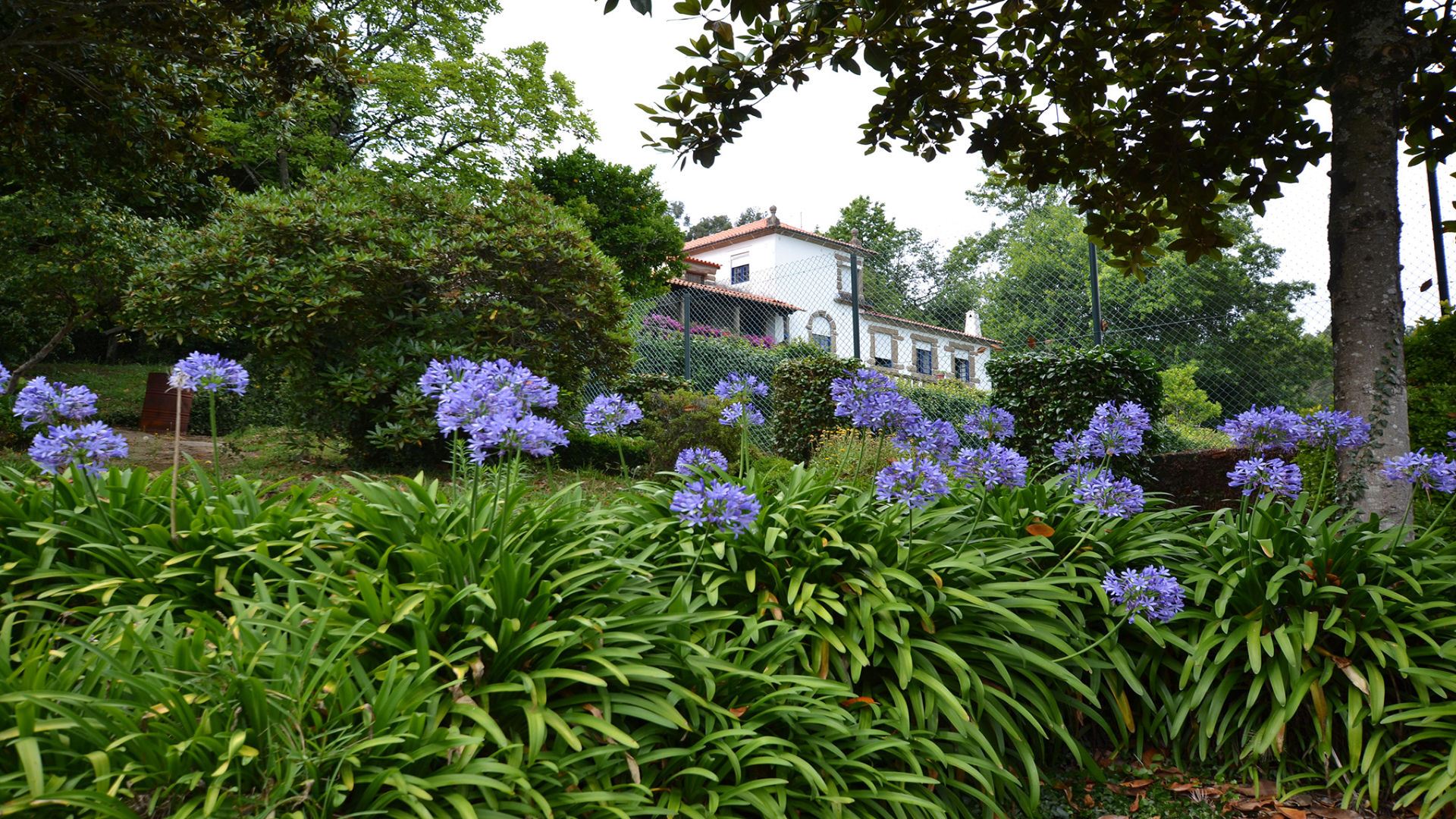 CASA DO MONTE
