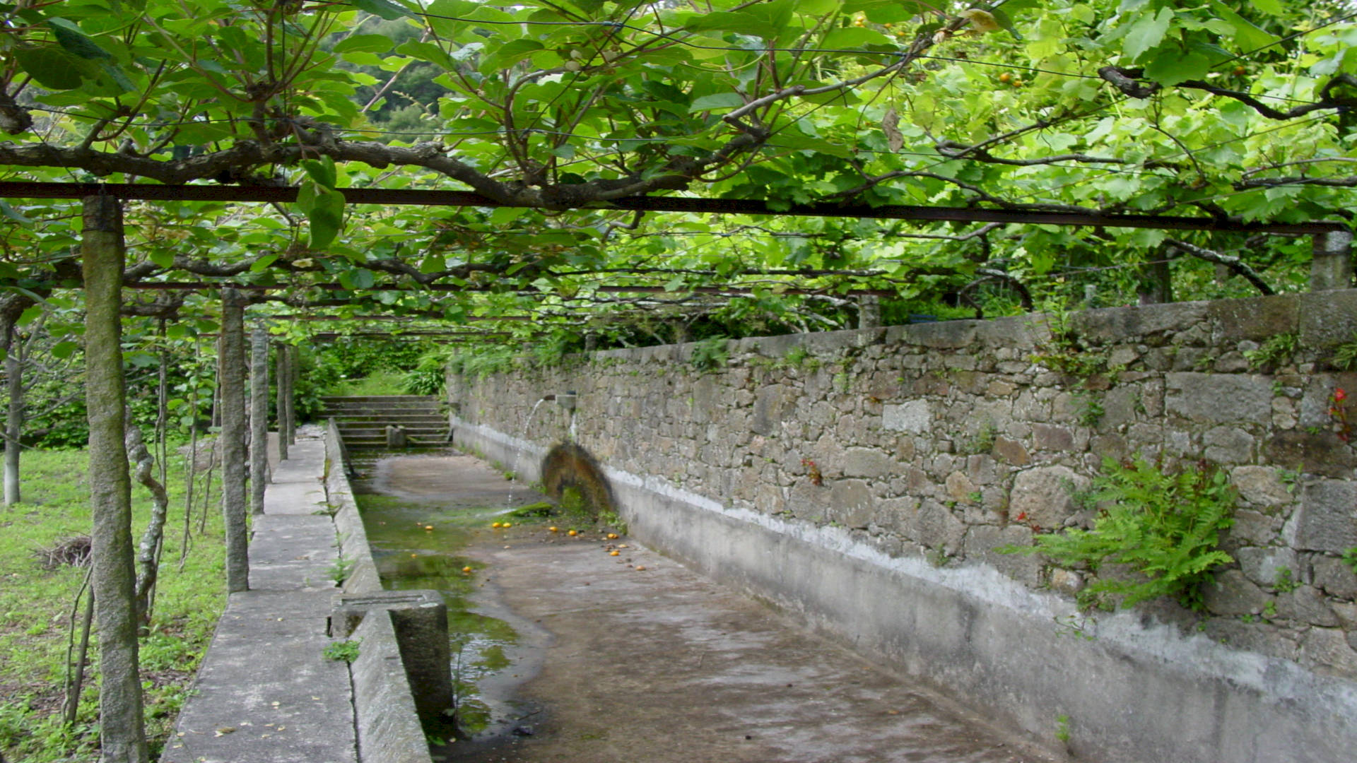 QUINTA DA PICARIA