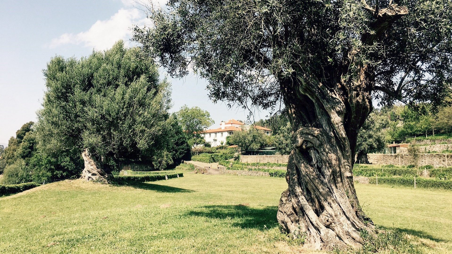 Casa dos Macieis