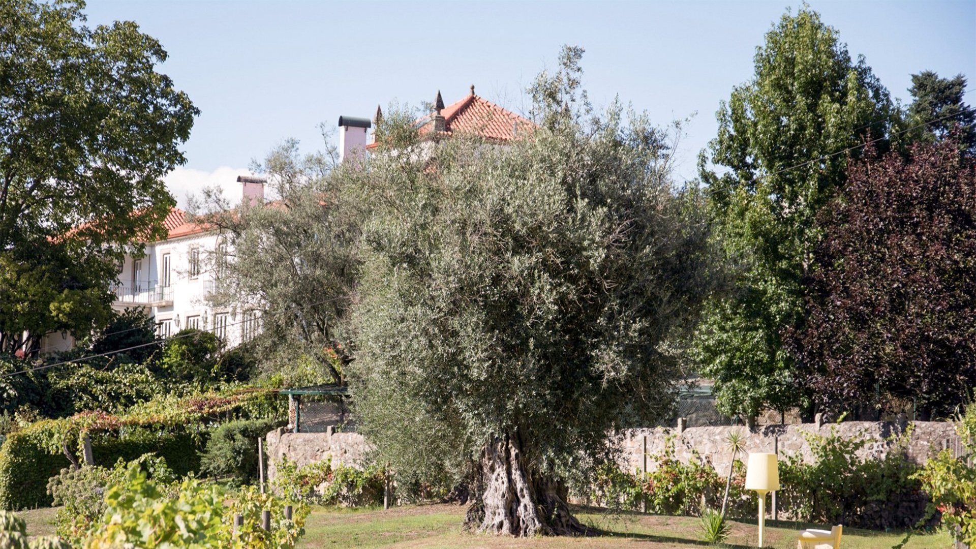 Casa dos Macieis
