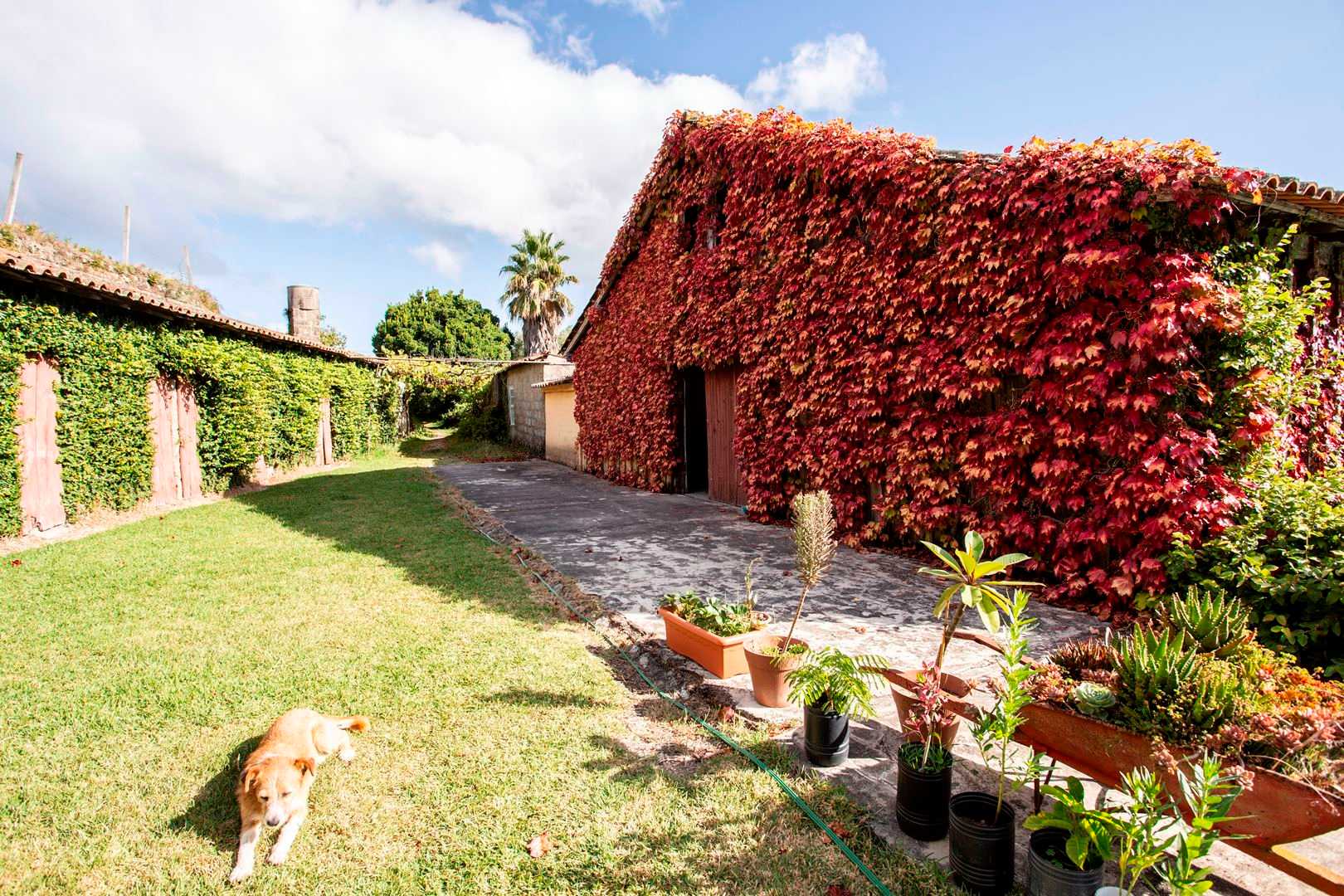 CASA DA VÁRZEA
