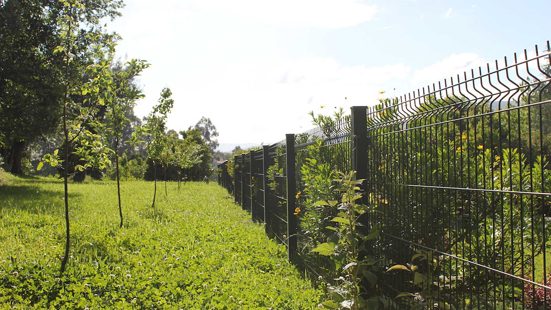 QUINTA DO MOSTEIRO