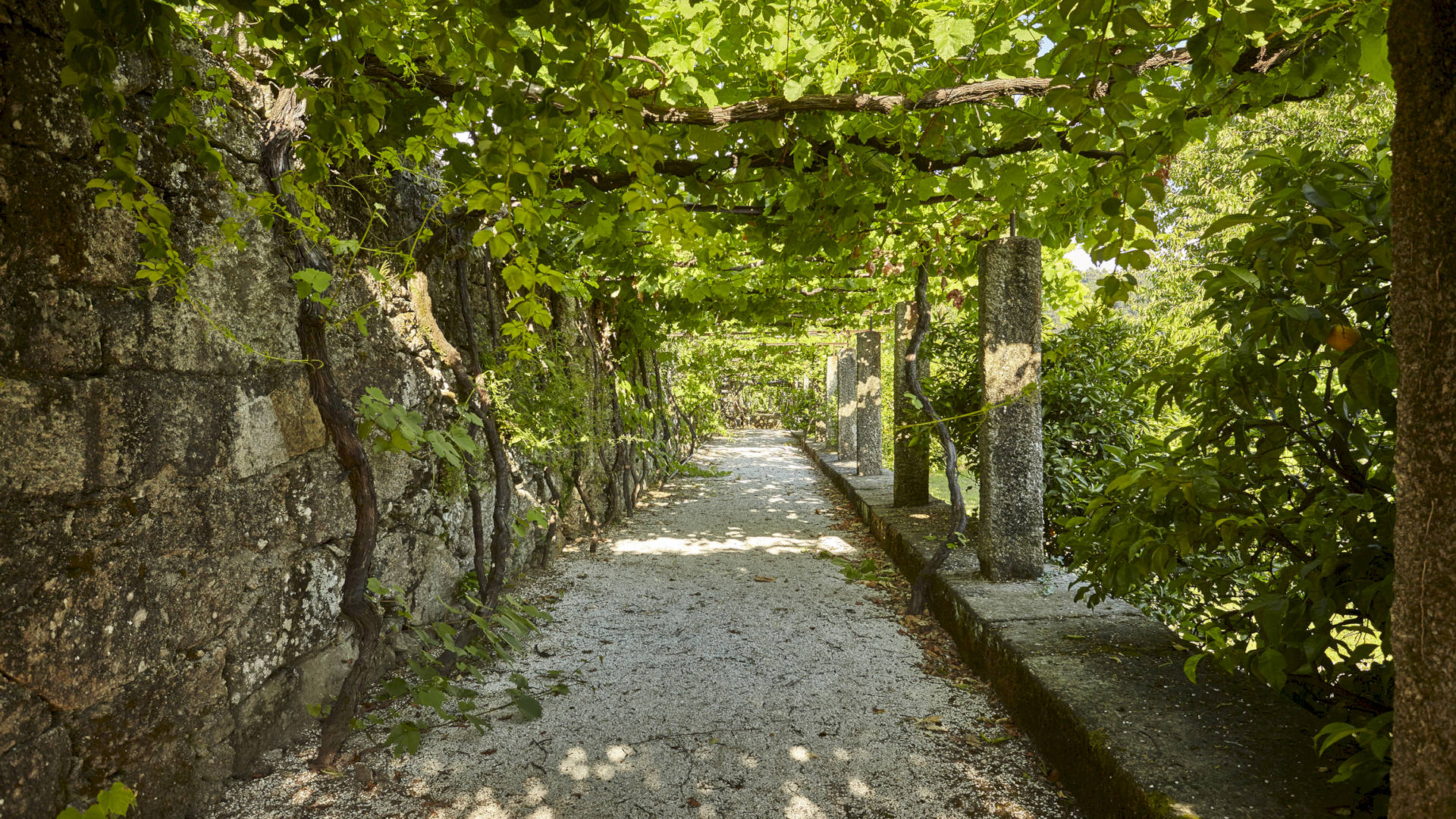 PAÇO DE CALHEIROS