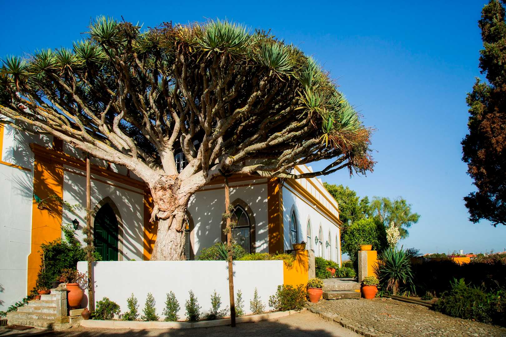 CASA DO CASTELO