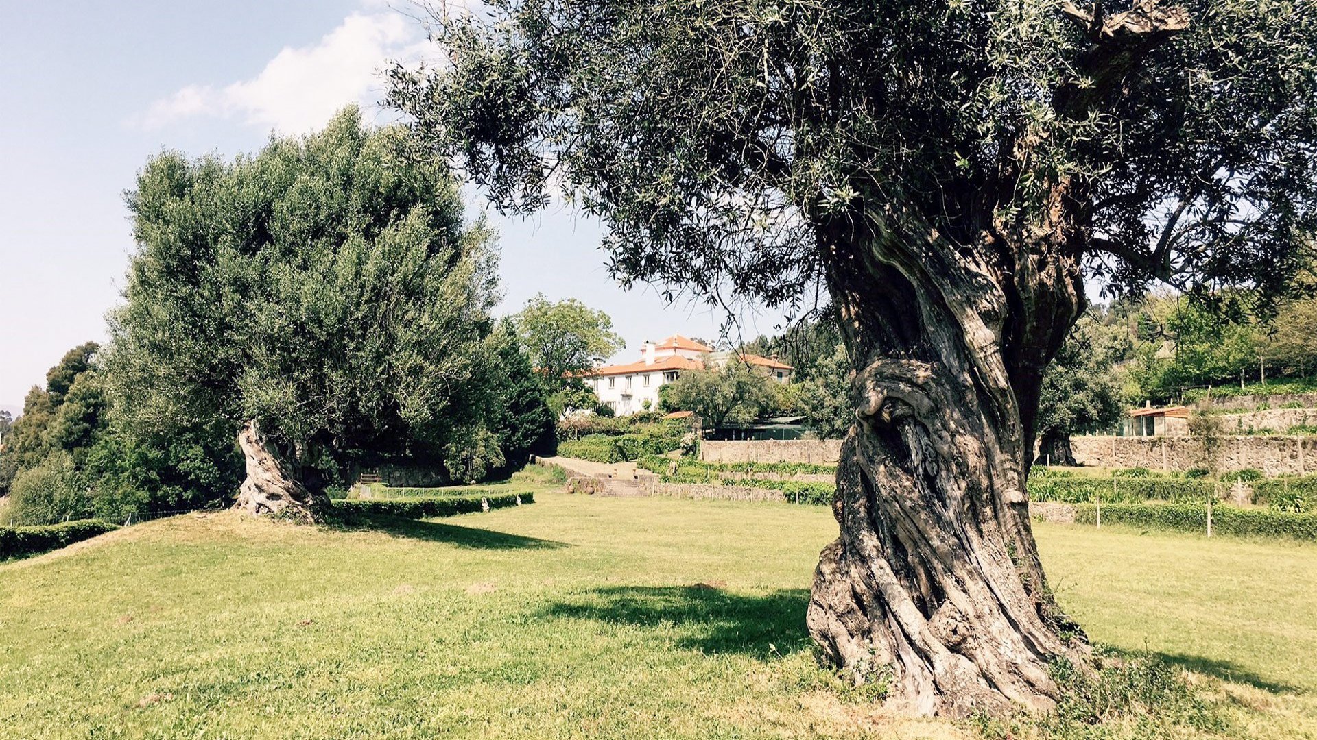 Casa dos Macieis