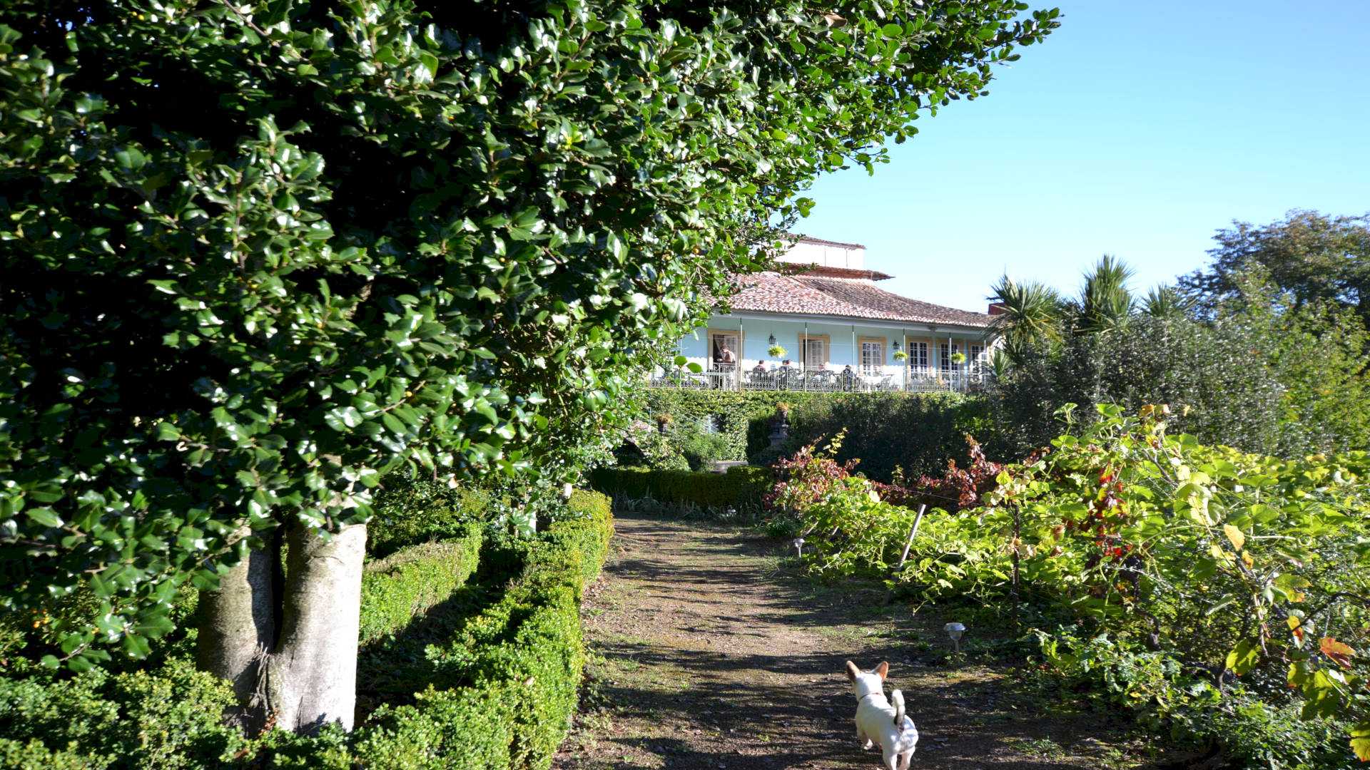 CASA DE SEZIM
