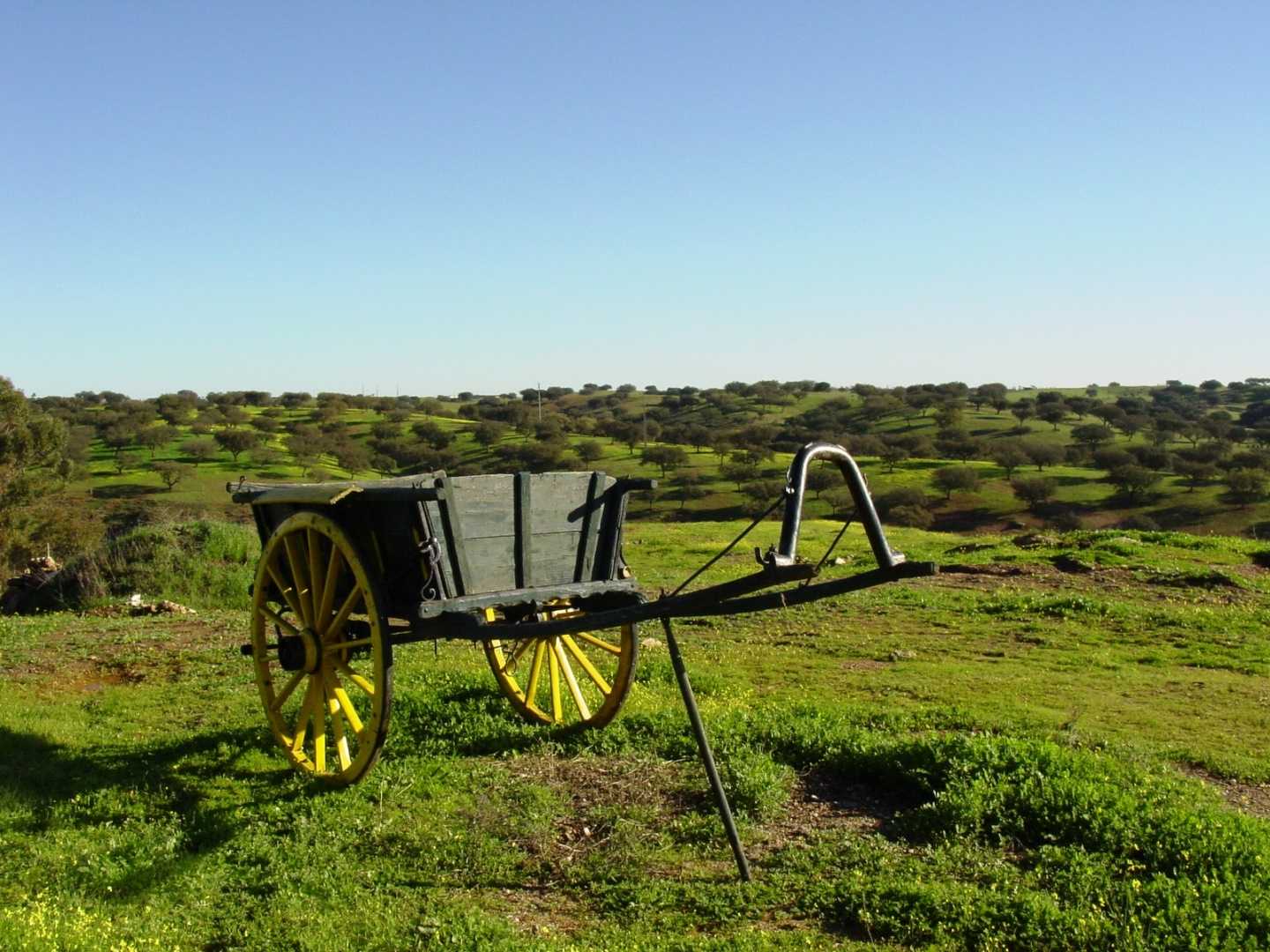 MONTE DA CORTE LIGEIRA