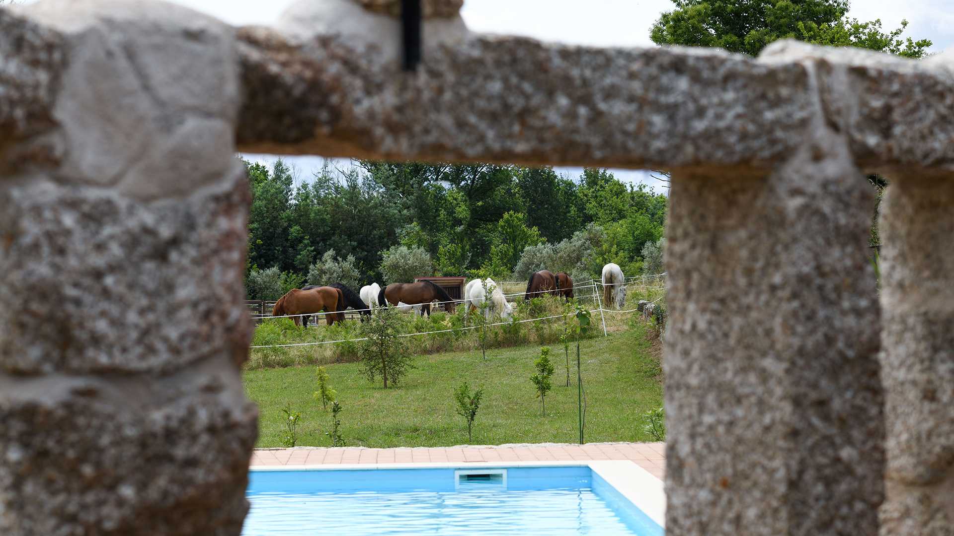 QUINTA LUSITÂNIA